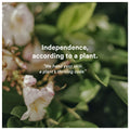 Independence According to a Plant